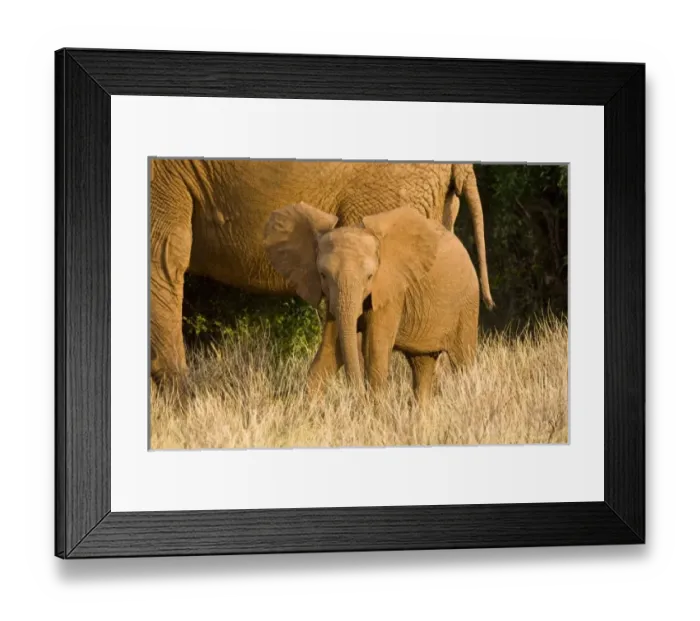 Framed Print : Africa, Kenya