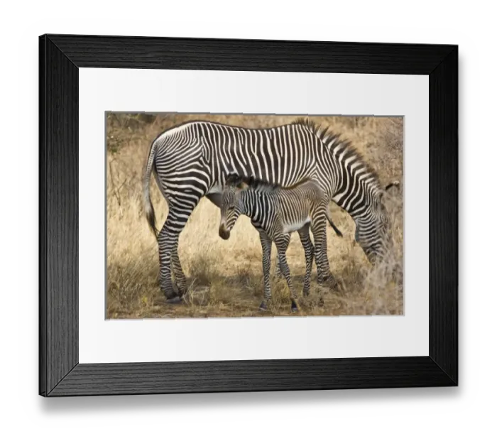 Framed Print : Africa, Kenya Framed Print : Africa, Kenya