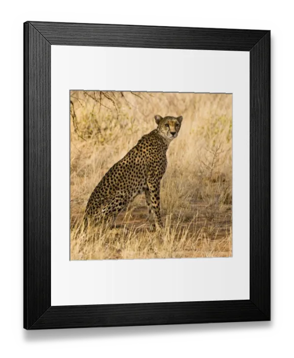 Framed Print : Africa, Kenya Framed Print : Africa, Kenya