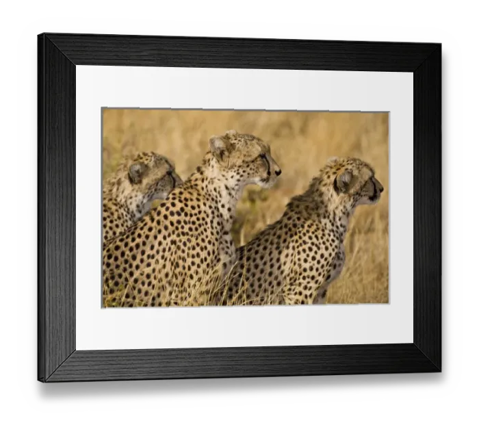 Framed Print : Africa, Kenya Framed Print : Africa, Kenya
