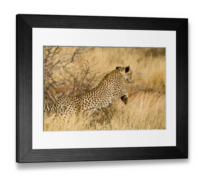 Framed Print : Africa, Kenya Framed Print : Africa, Kenya