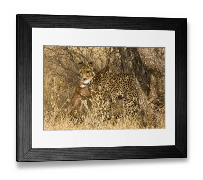 Framed Print : Africa, Kenya Framed Print : Africa, Kenya