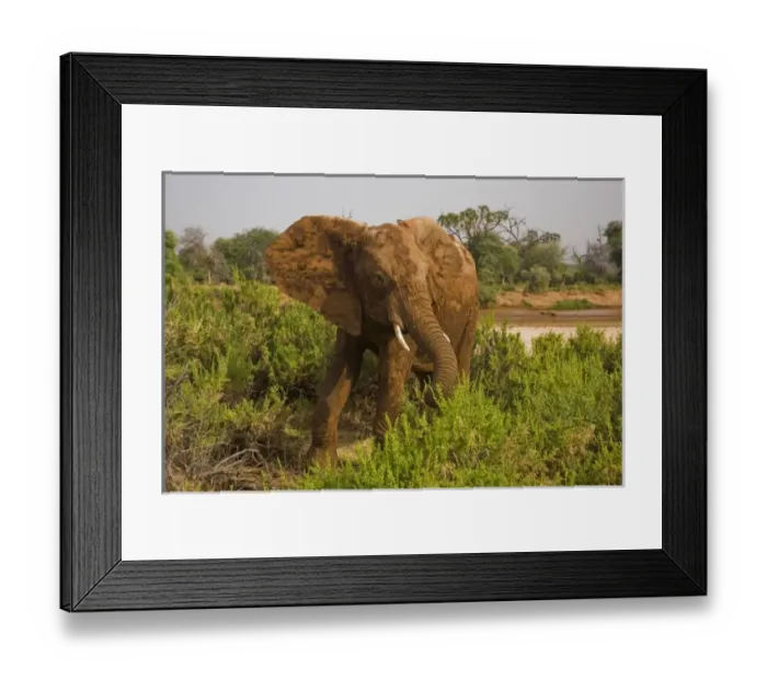 Framed Print : Africa, Kenya