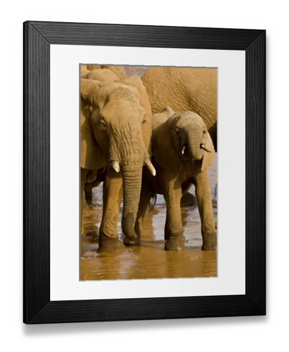 Framed Print : Africa, Kenya Framed Print : Africa, Kenya