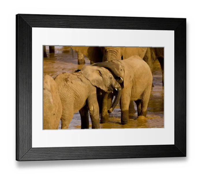Framed Print : Africa, Kenya Framed Print : Africa, Kenya