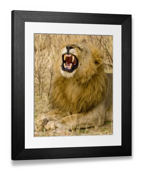 Framed Print : Africa, Kenya