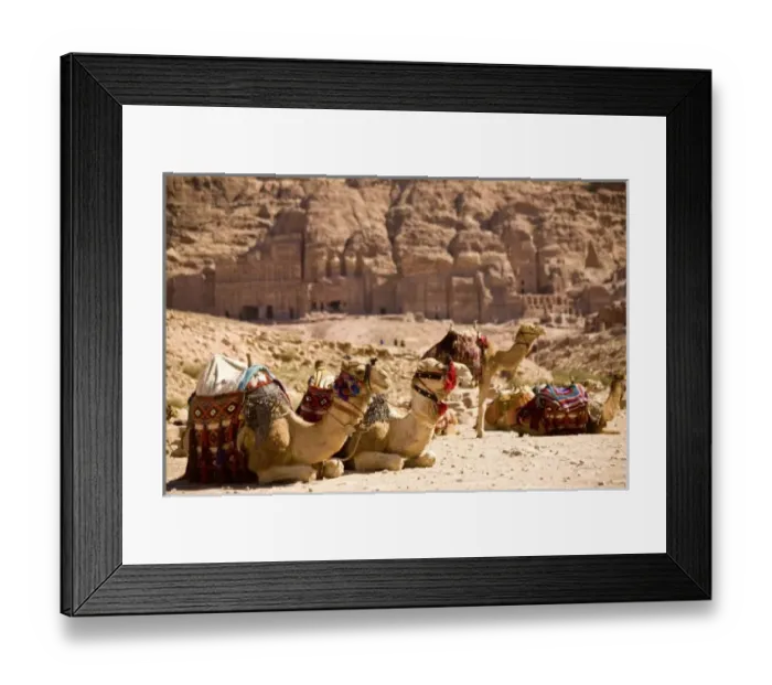 Framed Print : Jordan, Petra. Bedouin camel caravan rests along Street of Facades
