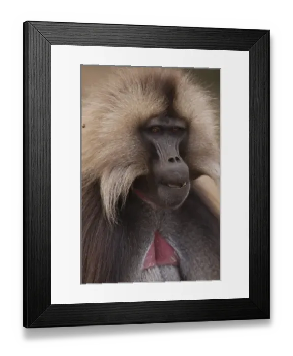 Framed Print : Africa, Ethiopia