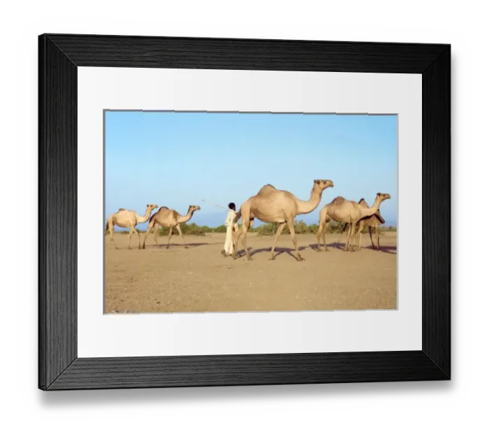 Framed Print : Africa, Ethiopia Framed Print : Africa, Ethiopia
