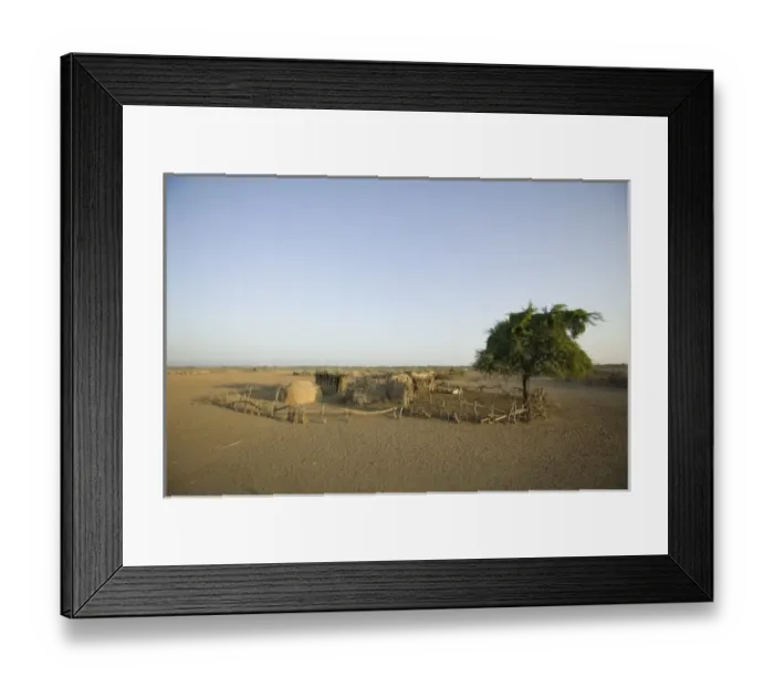 Framed Print : Homestead in village, Afar tribe, Awash Fontale, Ethiopia. (NGO Restrictions May Apply)