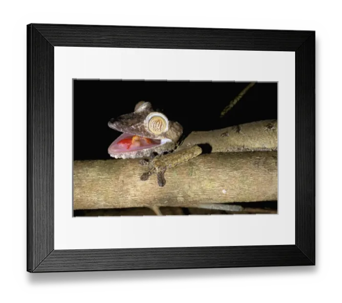 Framed Print : Africa, Madagascar Framed Print : Africa, Madagascar