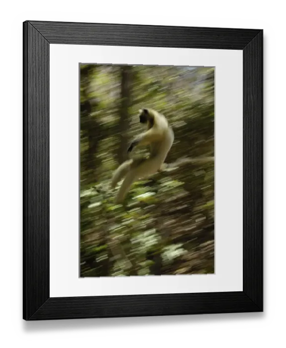 Framed Print : Africa, Madagascar