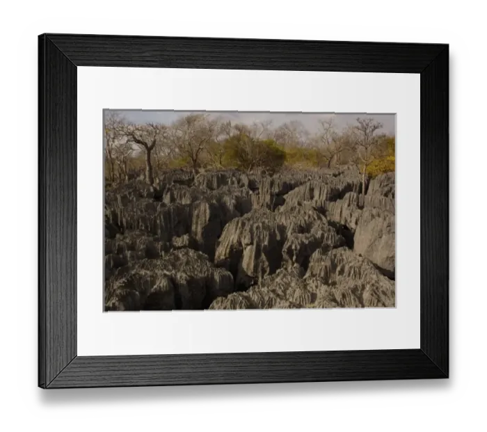 Framed Print : Pousse-pousses. Majunga Town. nw MADAGASCAR Framed Print : Pousse-pousses. Majunga Town. nw MADAGASCAR