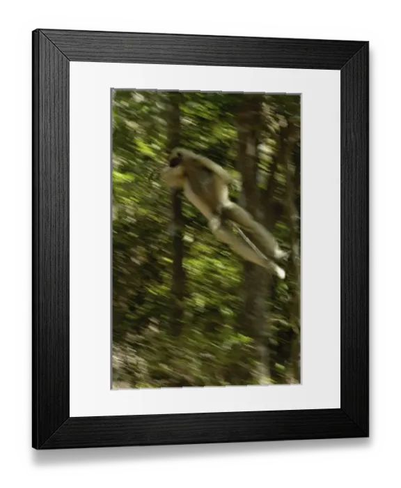 Framed Print : Africa, Madagascar