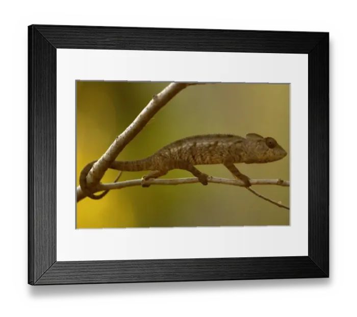 Framed Print : Africa, Madagascar