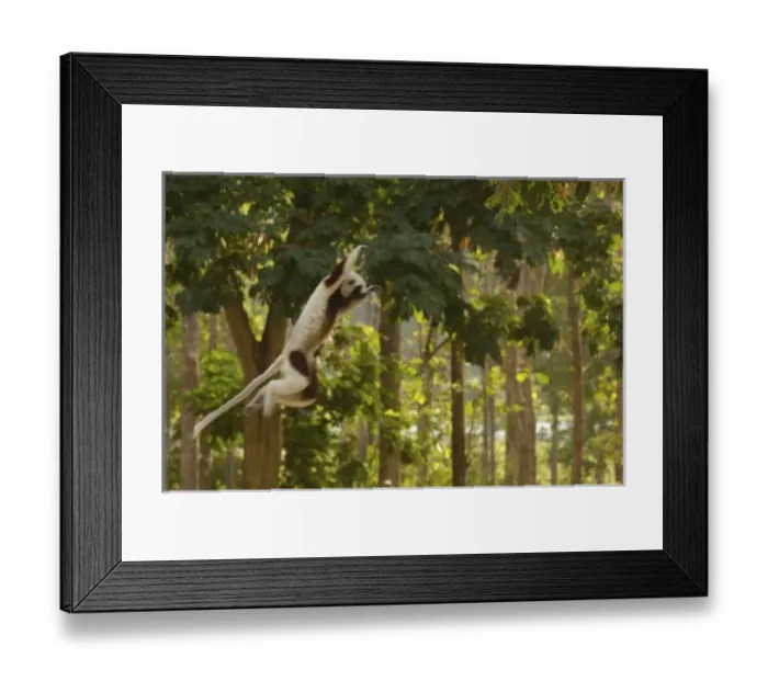Framed Print : Africa, Madagascar Framed Print : Africa, Madagascar
