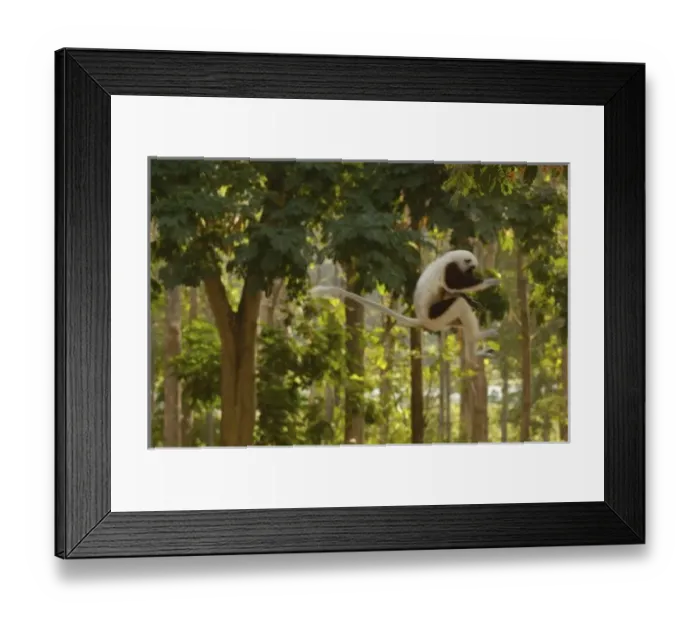Framed Print : Africa, Madagascar Framed Print : Africa, Madagascar