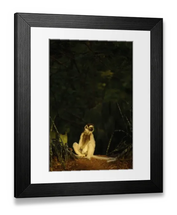 Framed Print : Africa, Madagascar