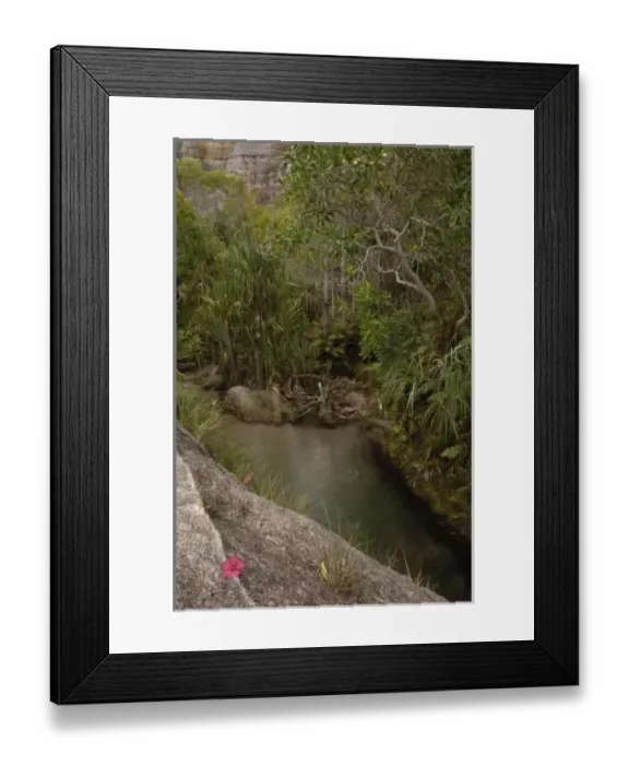Framed Print : Piscine Naturelle with Sandstone Massif of Isalo National Park in back MADAGASCAR