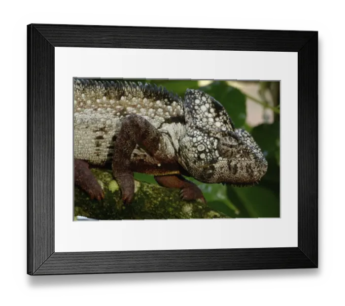 Framed Print : Africa, Madagascar Framed Print : Africa, Madagascar