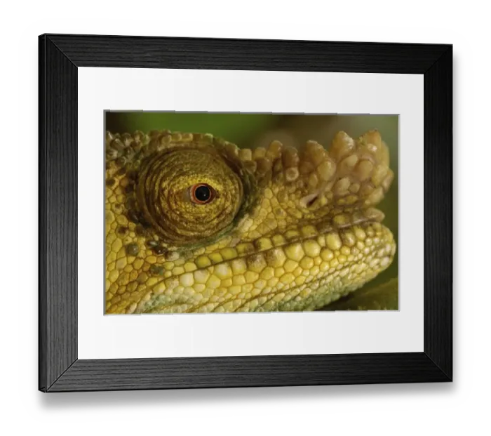 Framed Print : Africa, Madagascar Framed Print : Africa, Madagascar