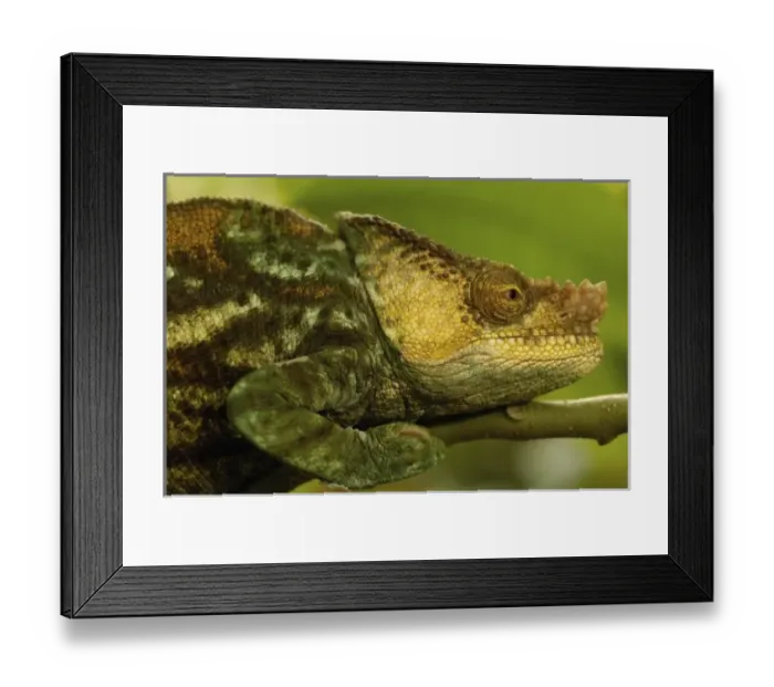 Framed Print : Africa, Madagascar Framed Print : Africa, Madagascar