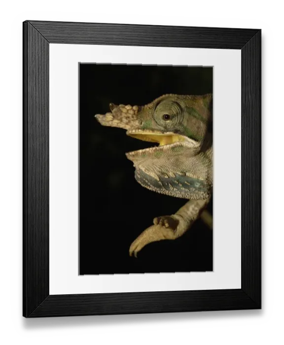 Framed Print : Africa, Madagascar Framed Print : Africa, Madagascar