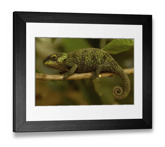 Framed Print : Africa, Madagascar Framed Print : Africa, Madagascar