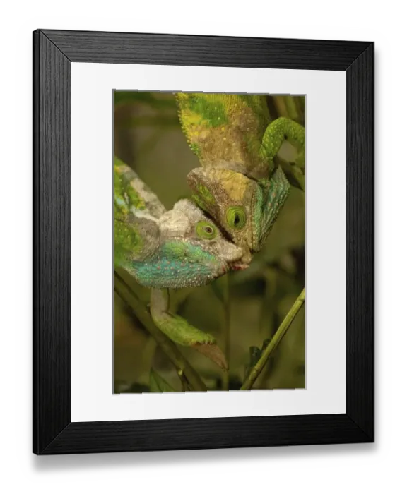 Framed Print : Africa, Madagascar Framed Print : Africa, Madagascar