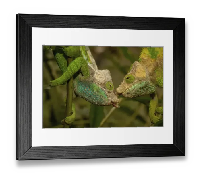 Framed Print : Africa, Madagascar Framed Print : Africa, Madagascar