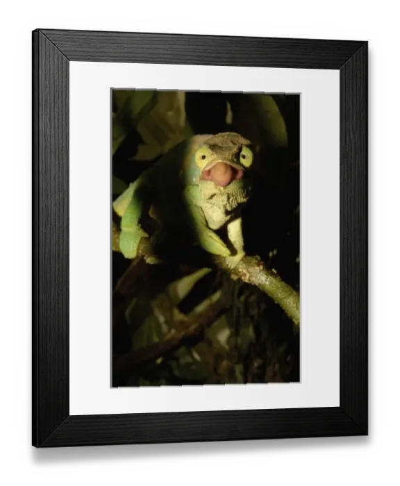 Framed Print : Africa, Madagascar Framed Print : Africa, Madagascar