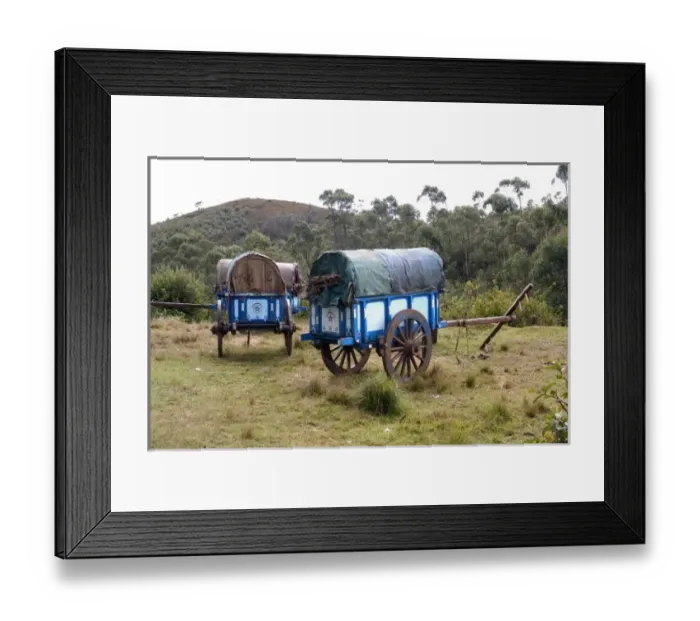 Framed Print : Africa, Madagascar Framed Print : Africa, Madagascar