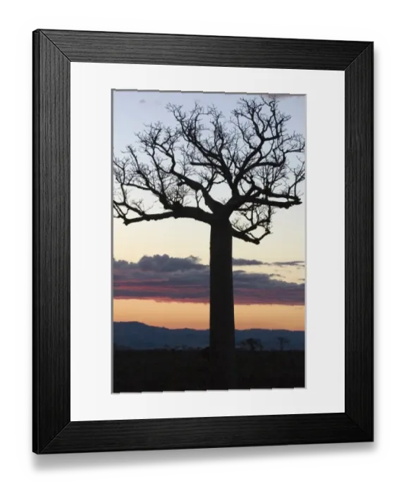 Framed Print : Africa, Madagascar Framed Print : Africa, Madagascar