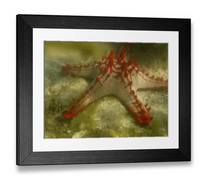 Framed Print : Africa, Madagascar Framed Print : Africa, Madagascar