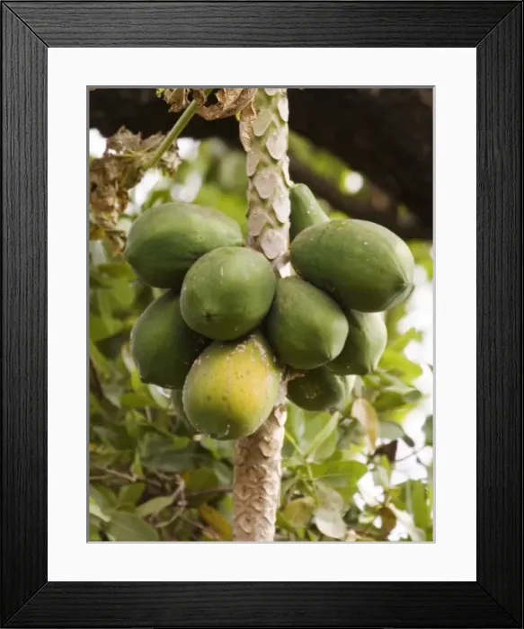 Framed Print : Africa, Malawi
