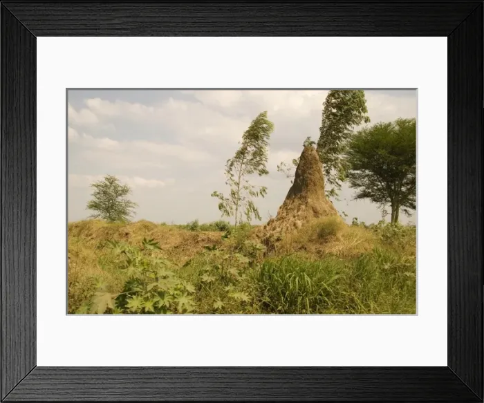 Framed Print : Africa, Malawi Framed Print : Africa, Malawi