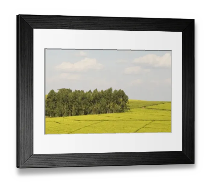 Framed Print : Africa, Malawi Framed Print : Africa, Malawi