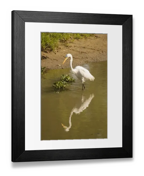 Framed Print : Africa, Malawi Framed Print : Africa, Malawi