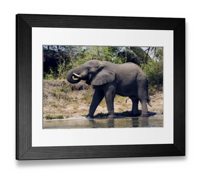 Framed Print : Africa, Malawi Framed Print : Africa, Malawi