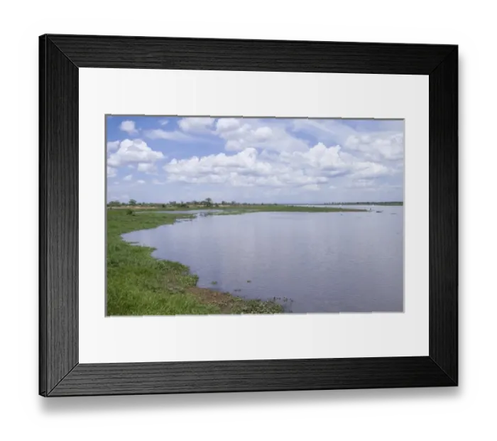 Framed Print : Africa; Malawi; Shire river; Shoreline along Shire river Framed Print : Africa; Malawi; Shire river; Shoreline along Shire river