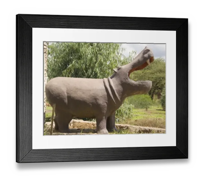 Framed Print : Africa, Malawi