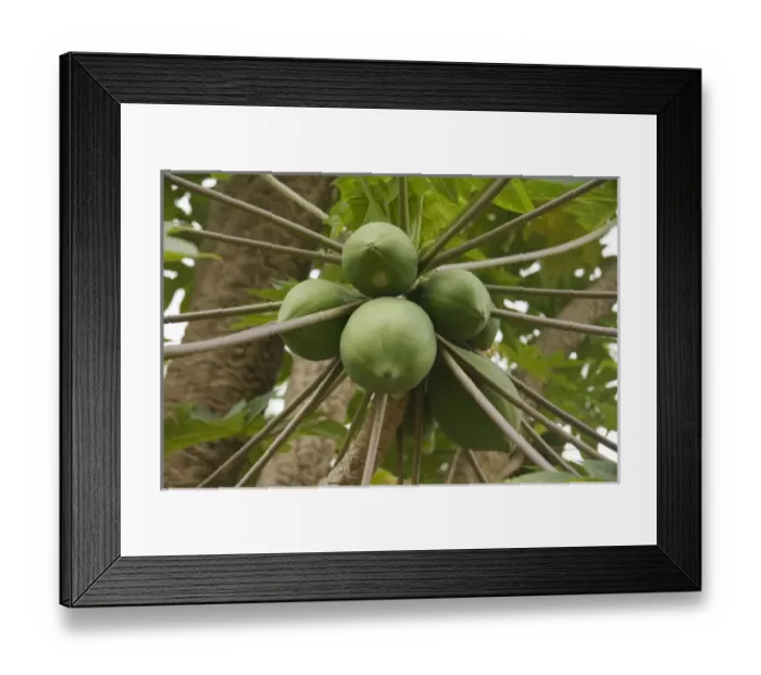 Framed Print : Africa, Malawi Framed Print : Africa, Malawi