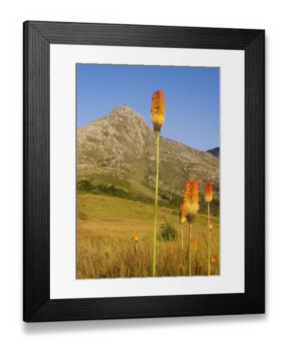 Framed Print : Africa, Malawi Framed Print : Africa, Malawi