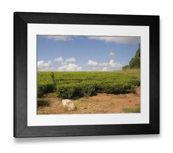 Framed Print : Africa, Malawi