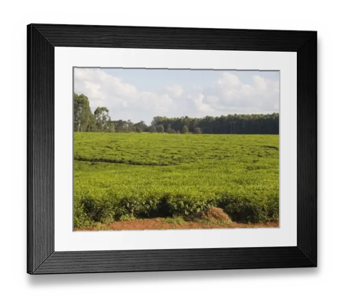 Framed Print : Africa, Malawi Framed Print : Africa, Malawi