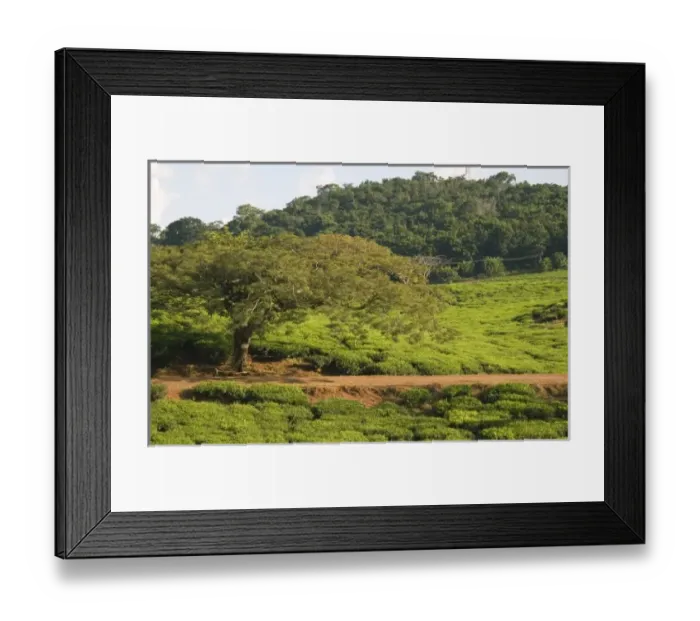 Framed Print : Africa, Malawi Framed Print : Africa, Malawi