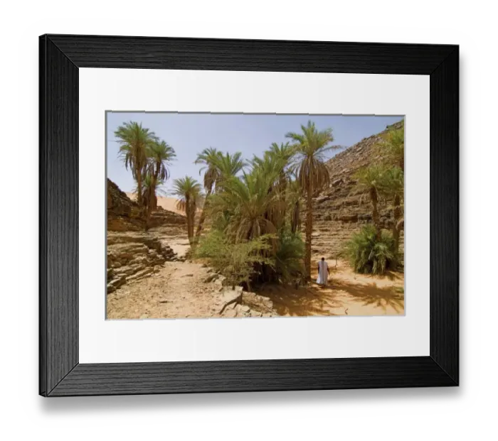 Framed Print : Mauritania, Adrar, Terjit oasis, Landscape