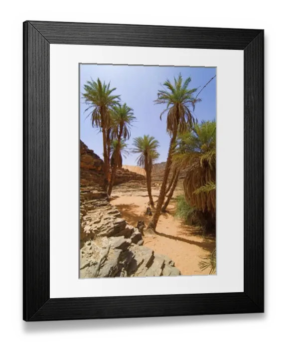 Framed Print : Mauritania, Adrar, Terjit oasis, Vertical view Framed Print : Mauritania, Adrar, Terjit oasis, Vertical view