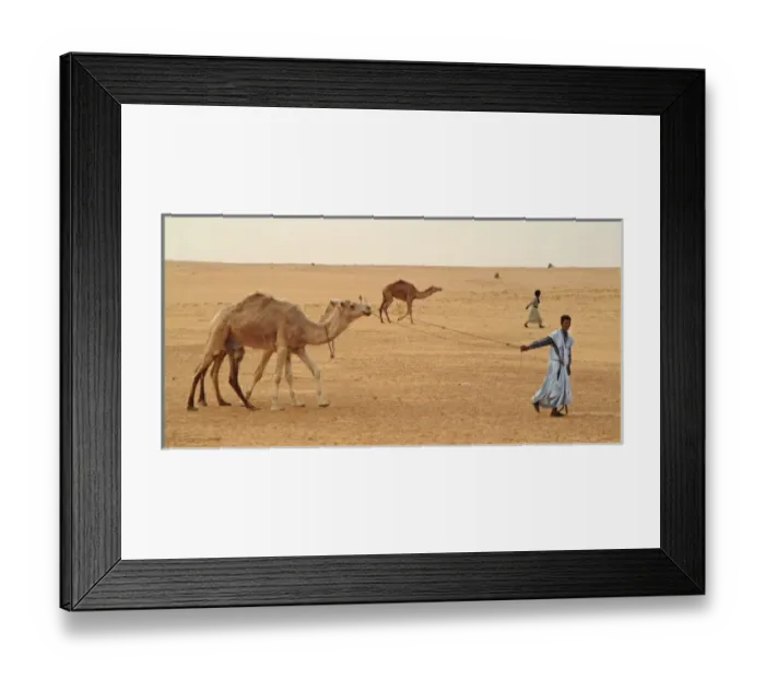 Framed Print : Africa, Mauritania Framed Print : Africa, Mauritania