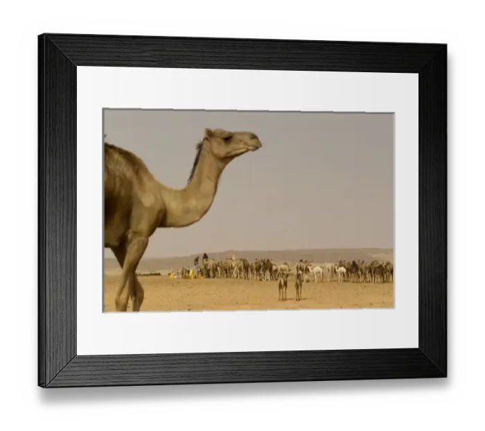 Framed Print : Africa, Mauritania